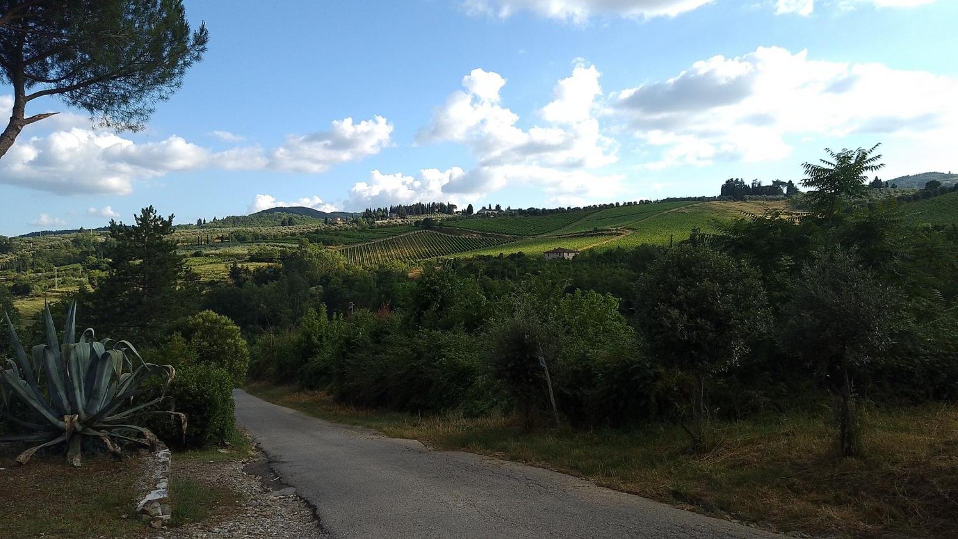 La Turra - Casa Di Campagna Greve in Chianti Exteriör bild