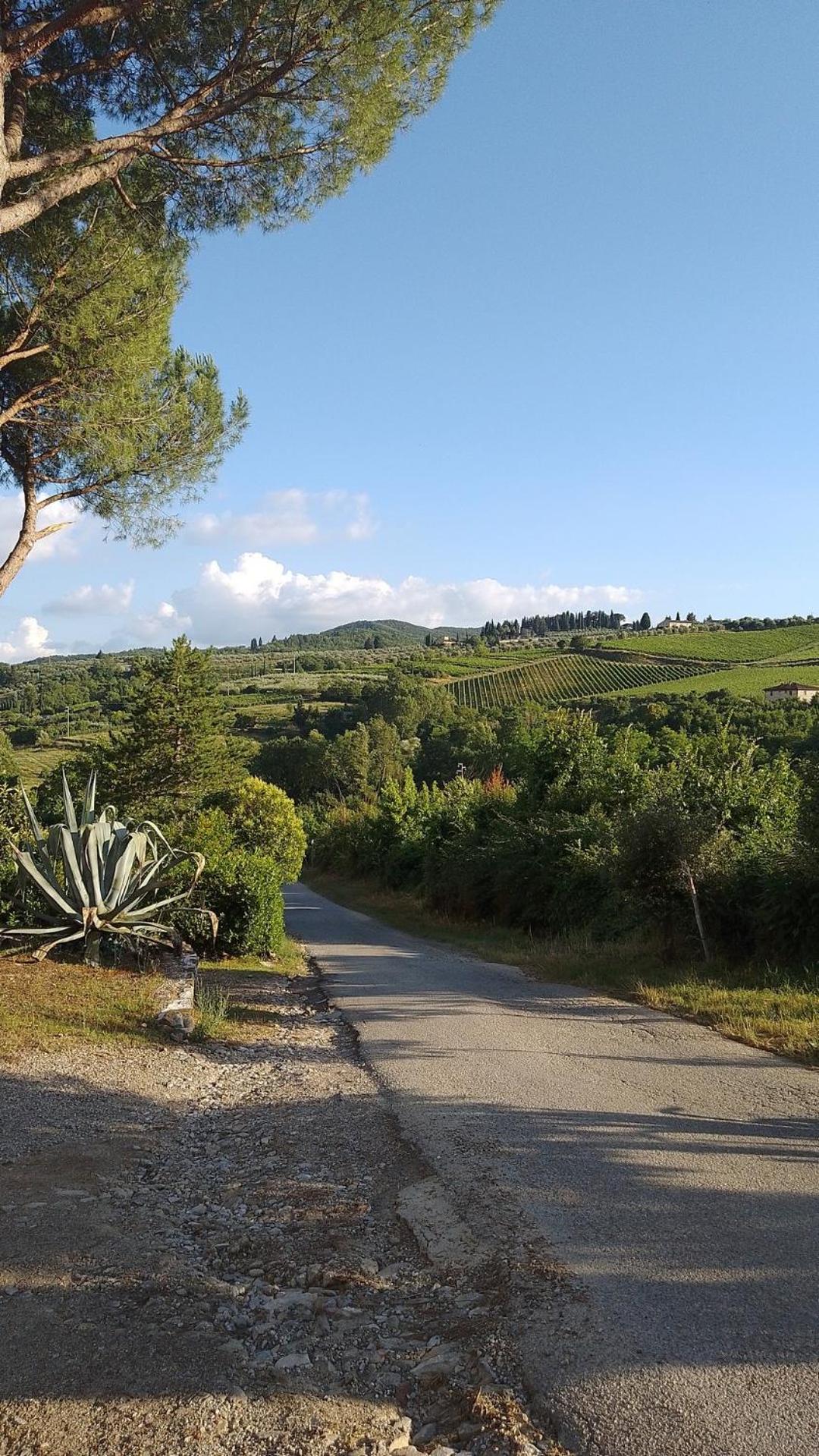 La Turra - Casa Di Campagna Greve in Chianti Exteriör bild