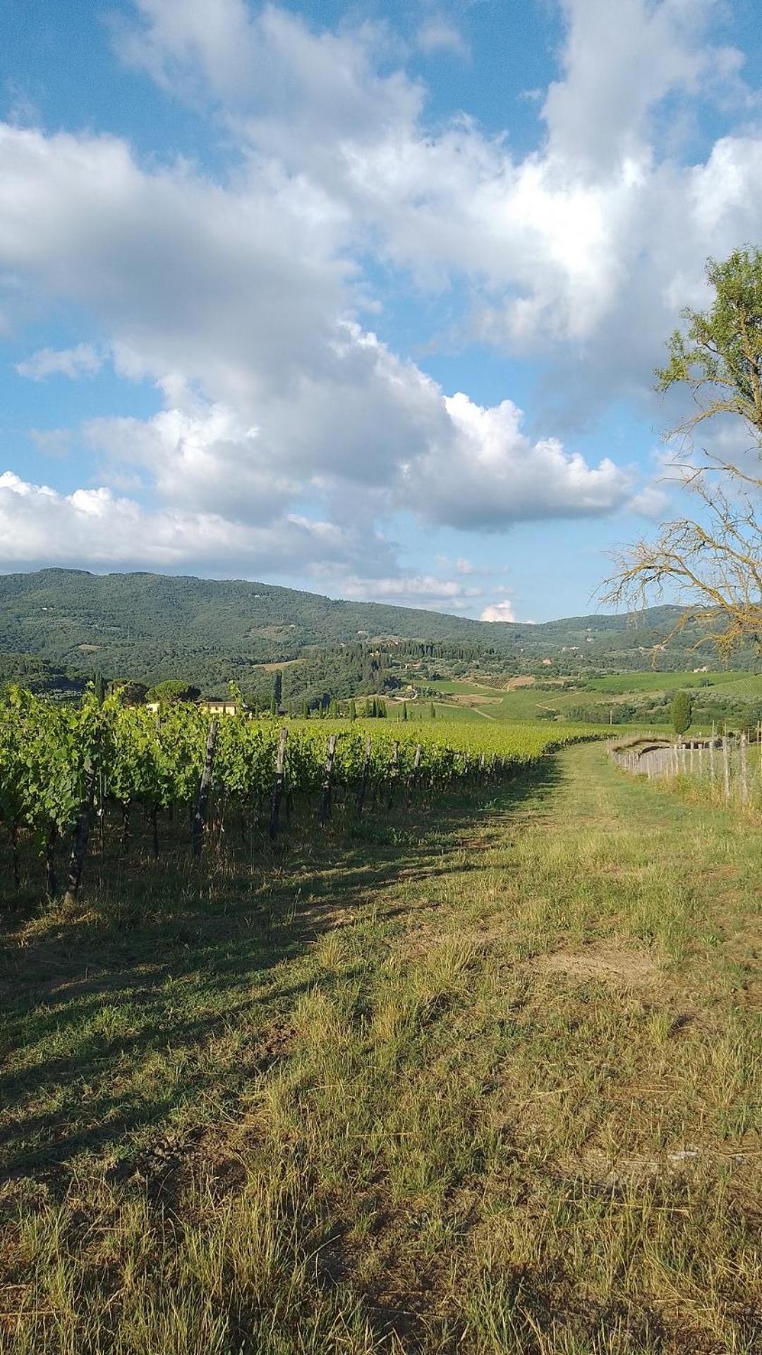 La Turra - Casa Di Campagna Greve in Chianti Exteriör bild